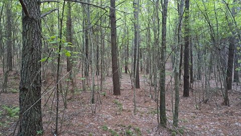 Rockwood, TN Land Opportunity