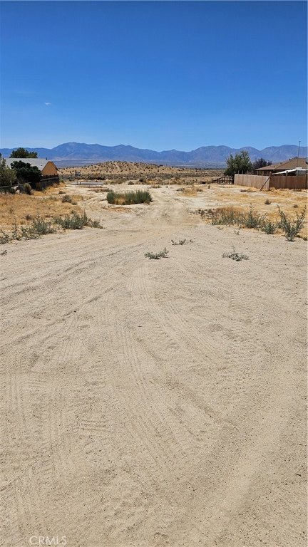 Picture 4