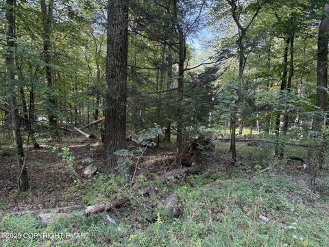 Poconos Commercial Lot Opportunity
