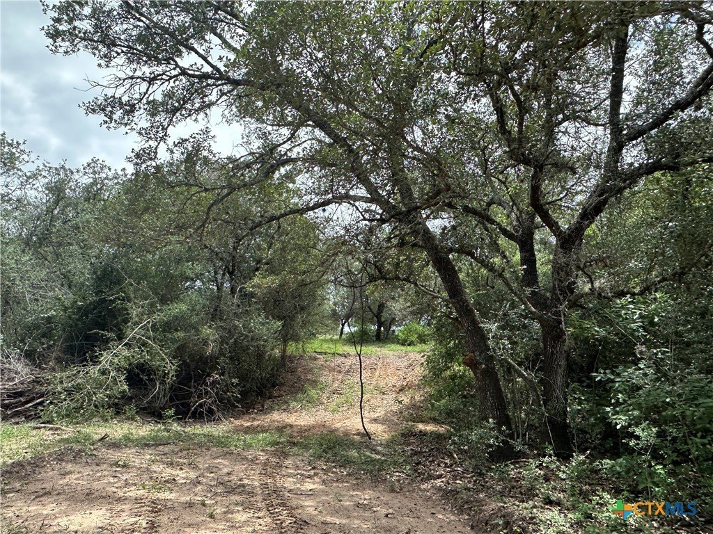 Picture 2