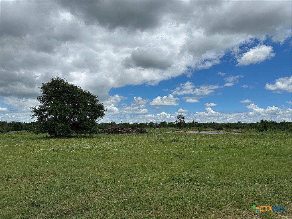 Picture 8