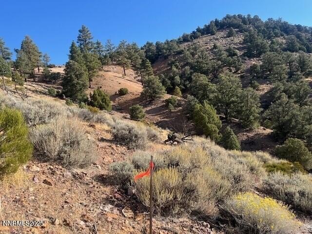 Virginia City Highlands Land Parcel