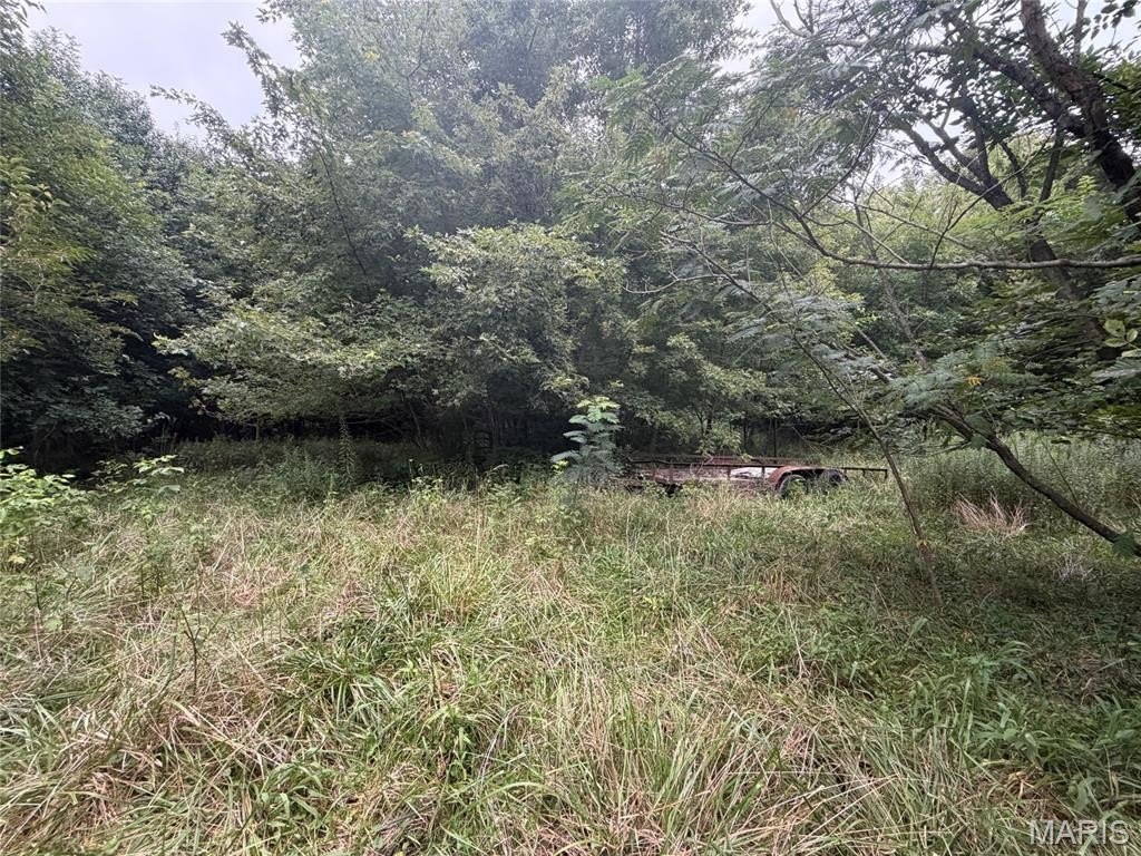 Picture 2