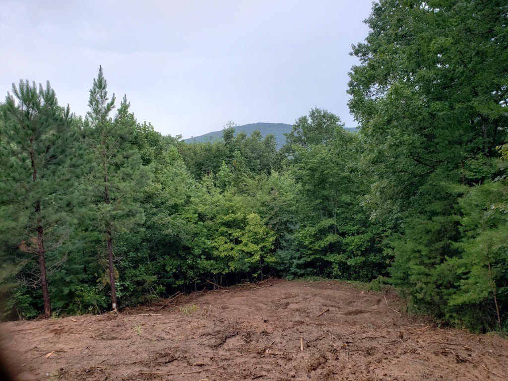 Picture 26