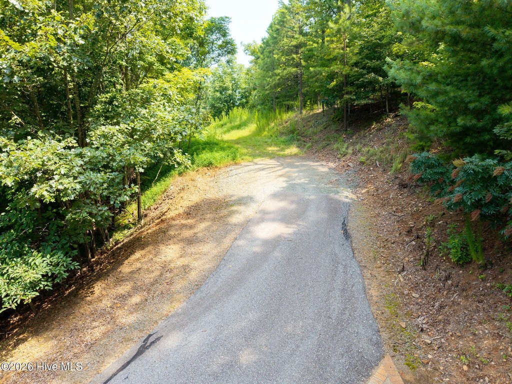 Picture 37