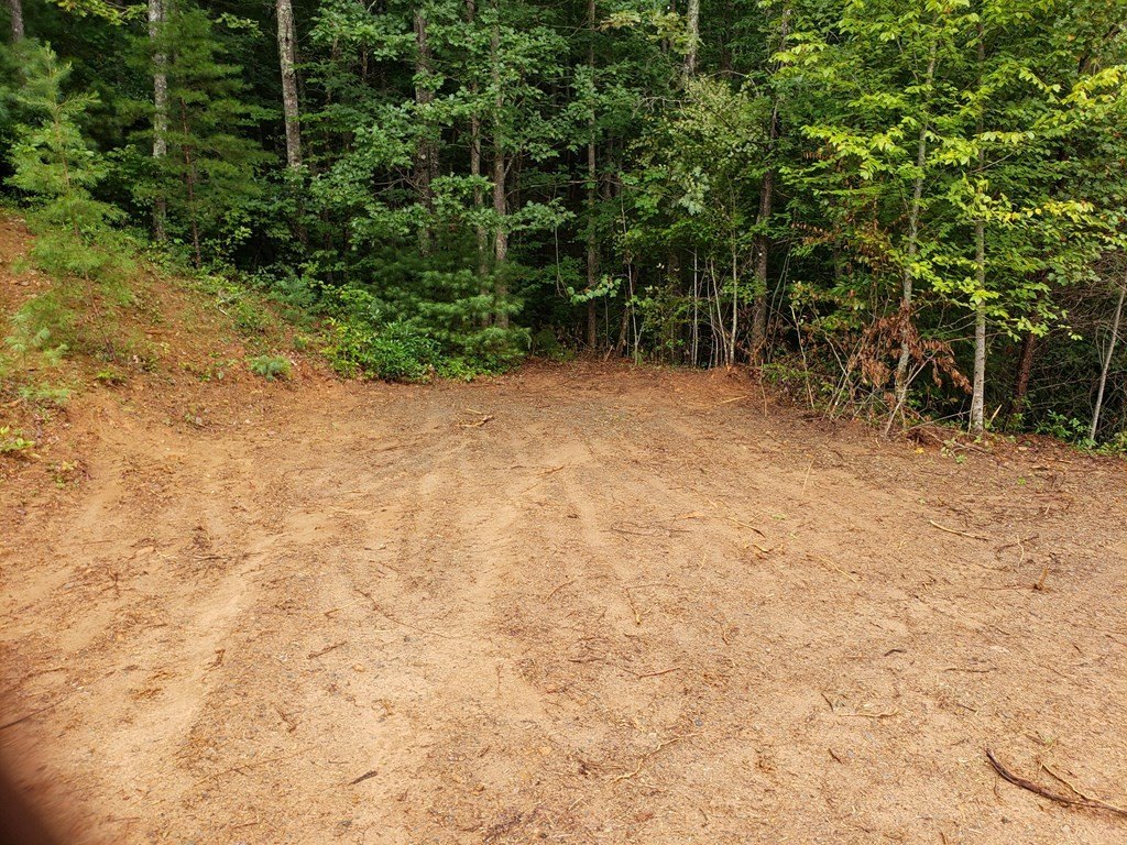 Picture 10