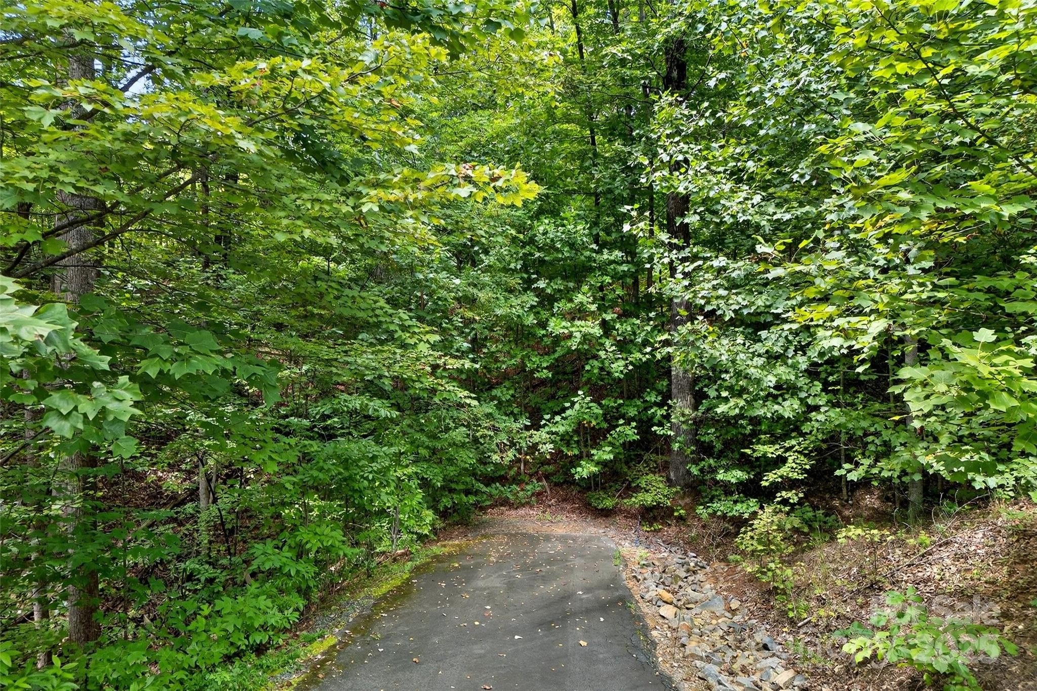 Black Mountain Buildable Lot