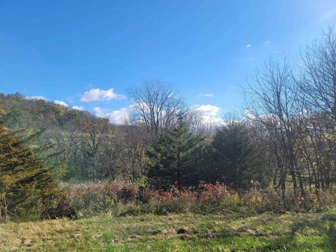 Scenic Galena Territory Lot