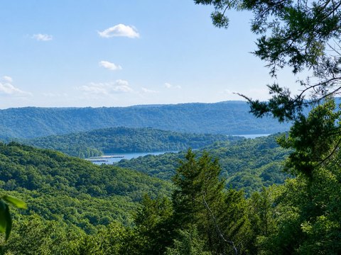 Waterfront Land with Forest Border