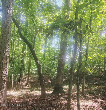 Andersonville Land on Stooksbury Lane