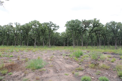 LAND - West, TX