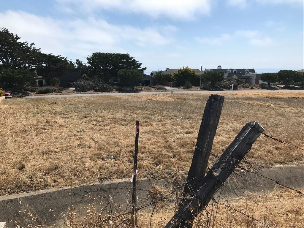 Picture 18