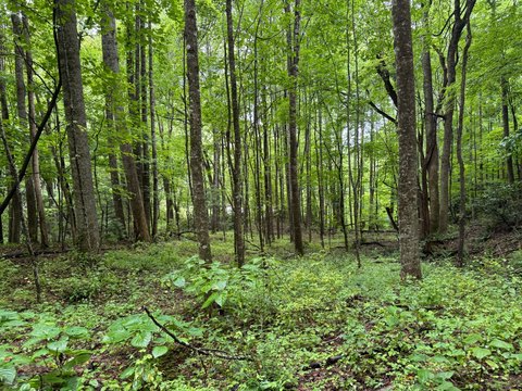 LAND - Newland, NC