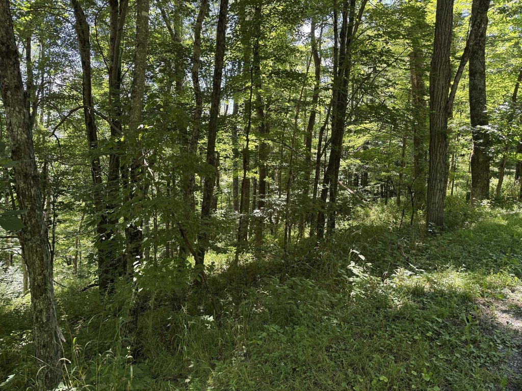 Picture 3