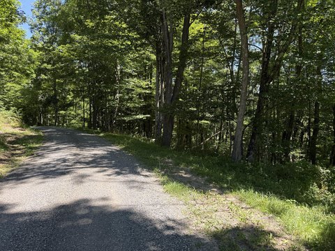 LAND - Slatyfork, WV