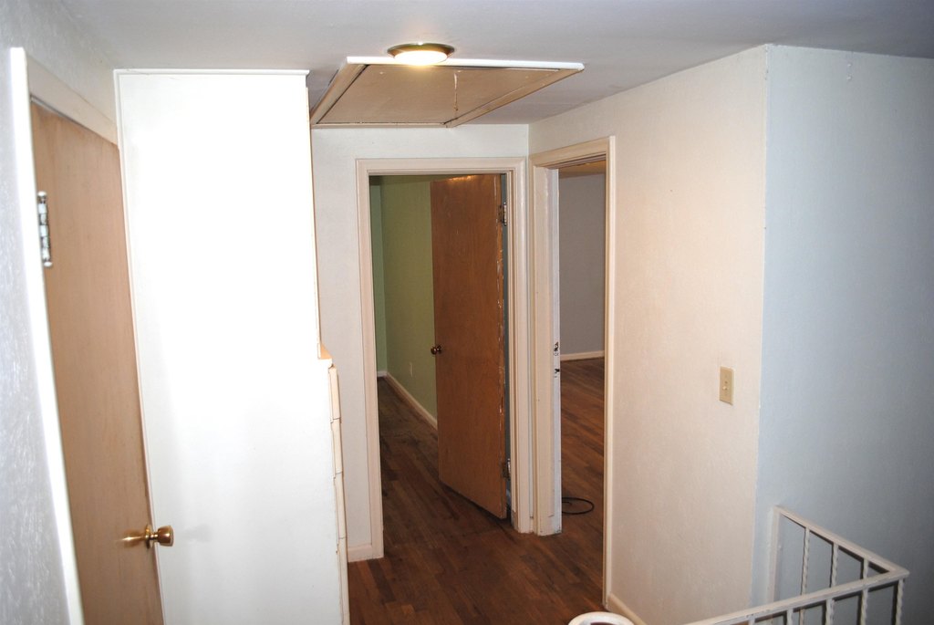 Picture 28
