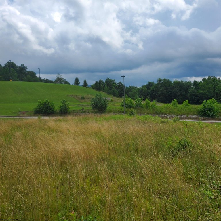 Picture 4