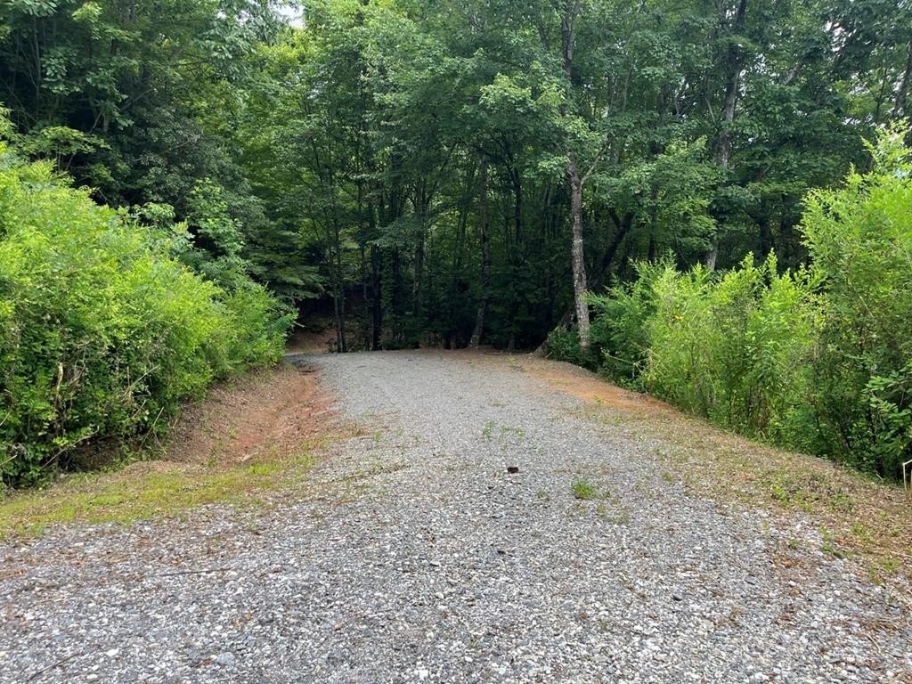 Picture 28