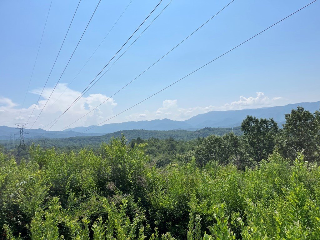 Picture 17