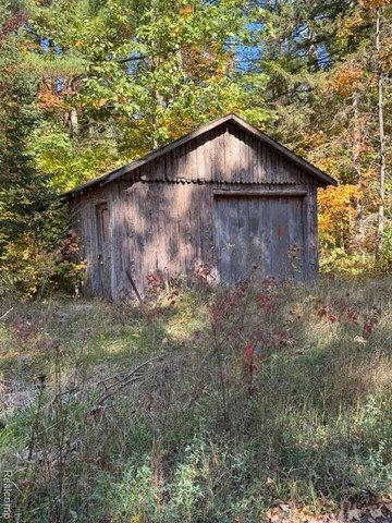 Picture 4