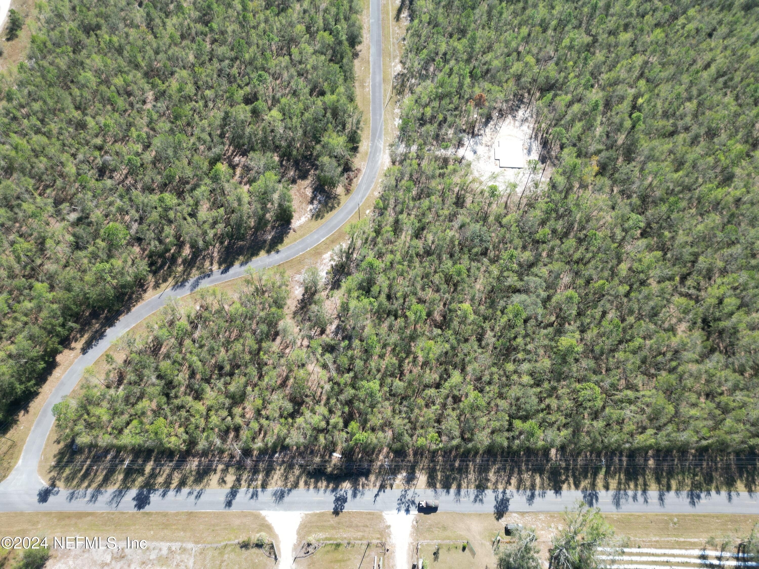 Live Oak Wooded Corner Lot