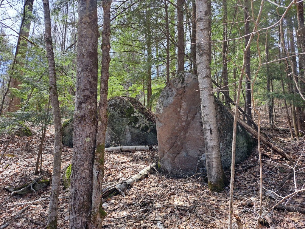 Picture 25