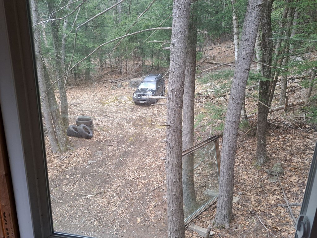 Picture 14