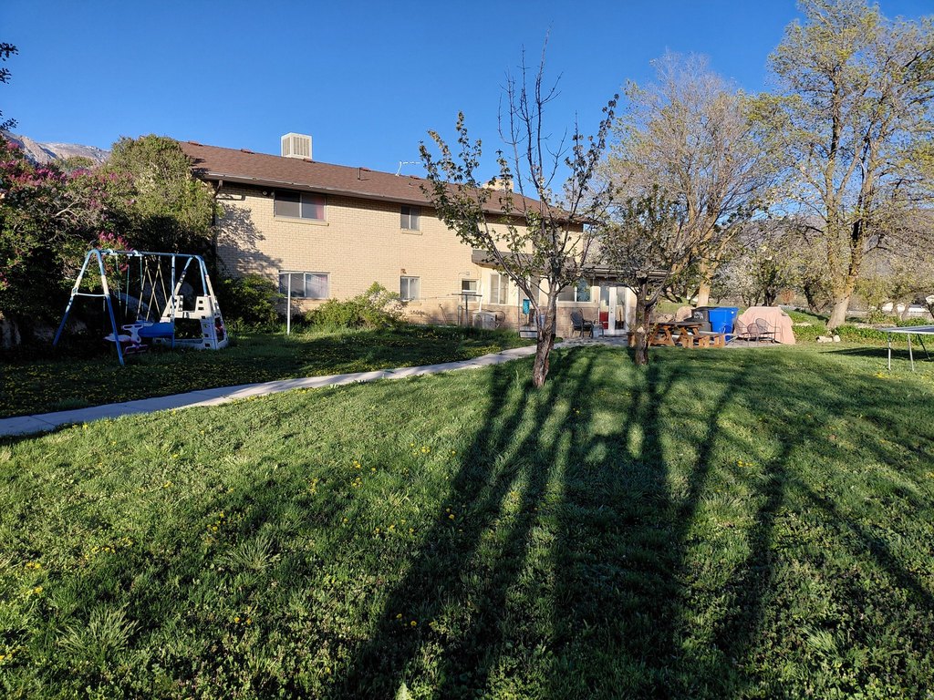 Picture 6