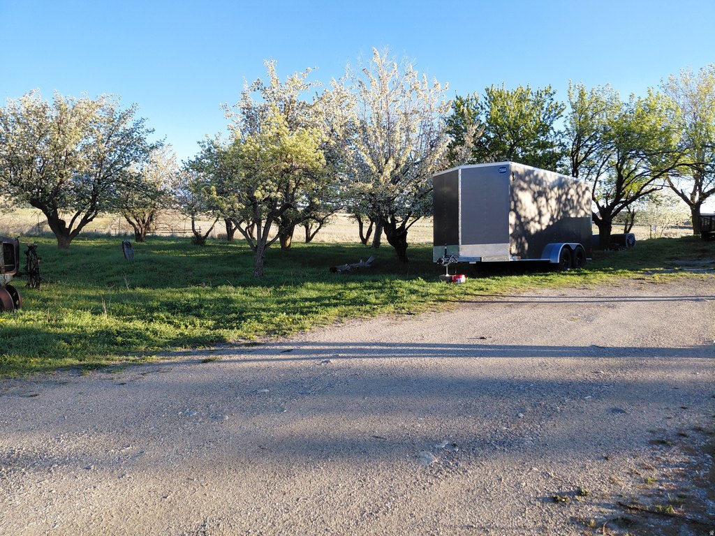 Picture 11
