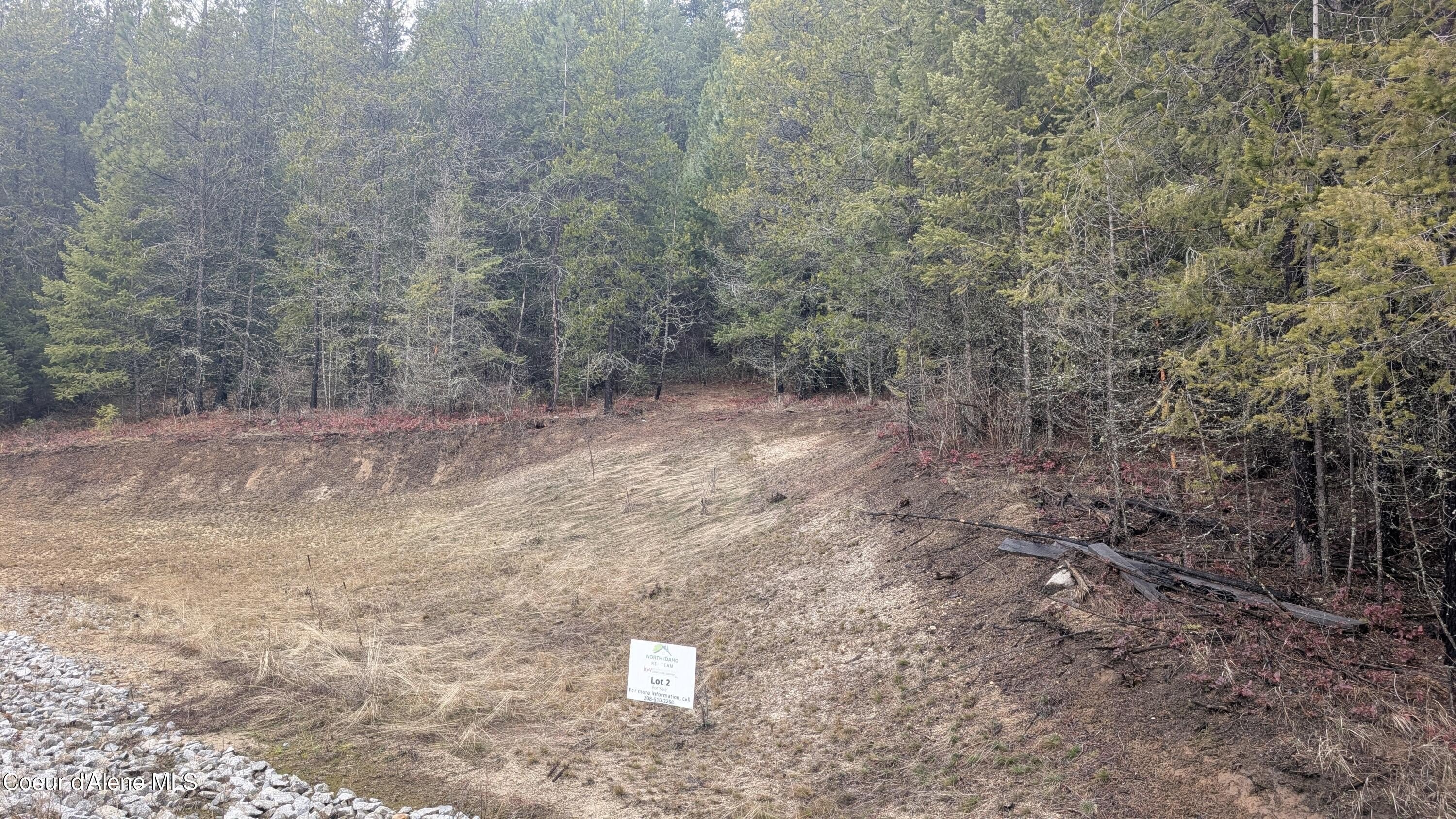 Treed Land Parcel in Athol