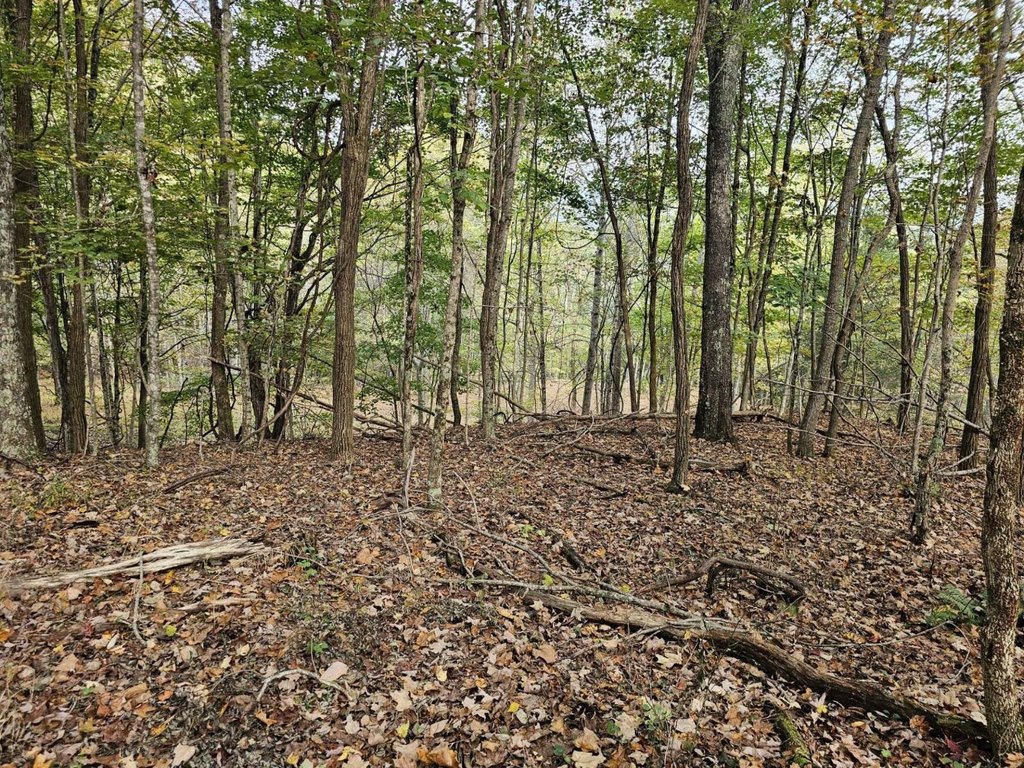 Picture 21