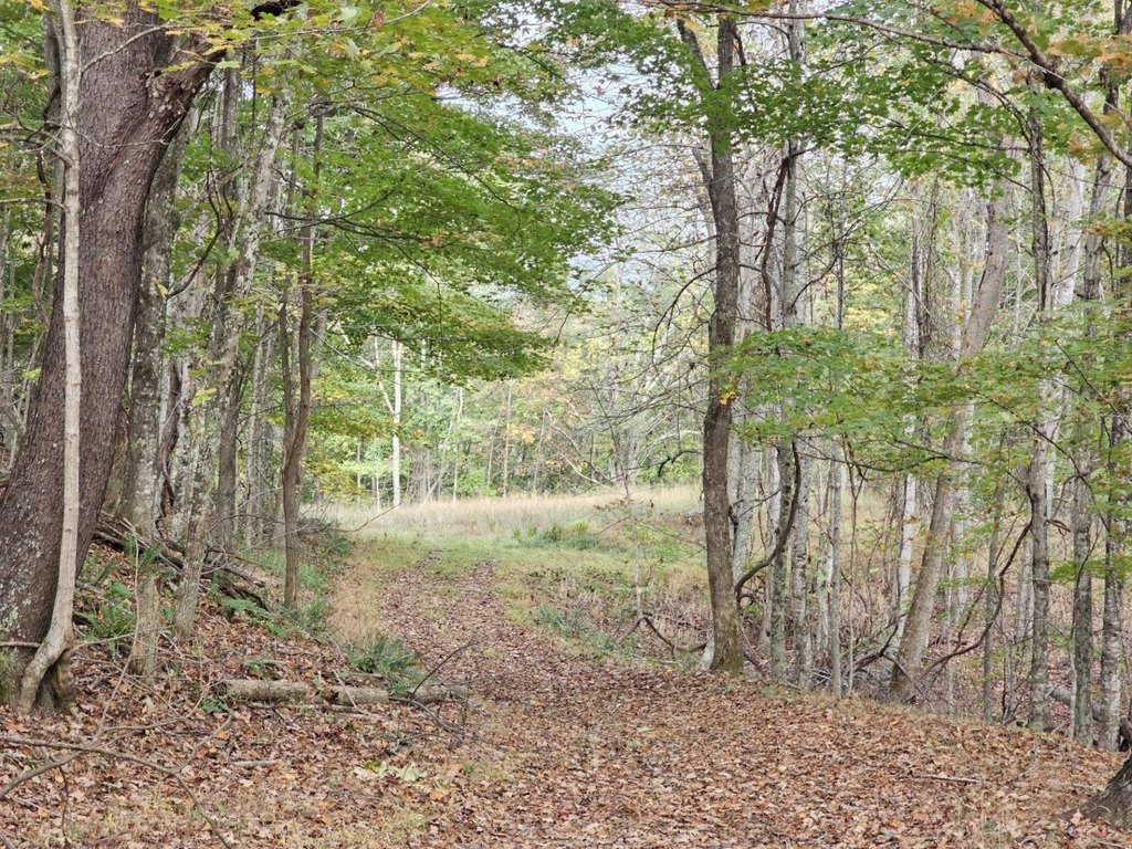 Picture 16