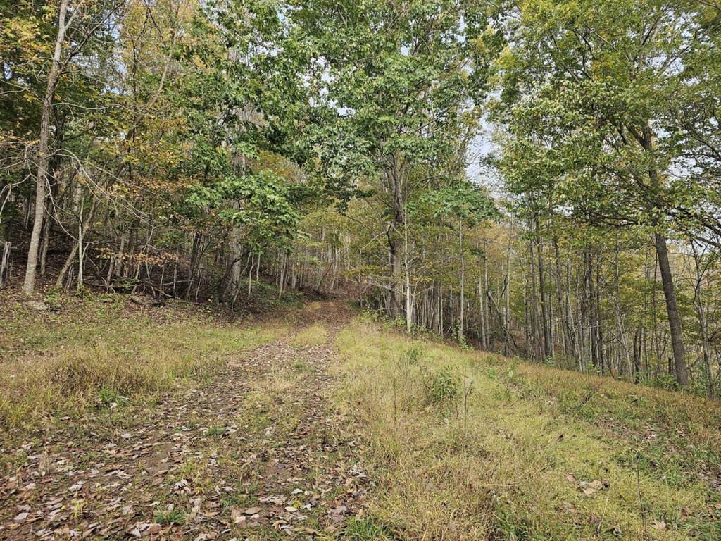 Picture 31