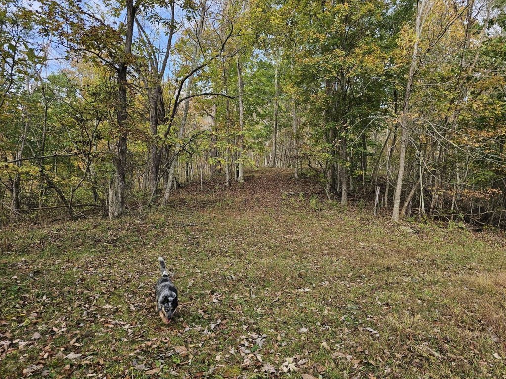 Picture 14