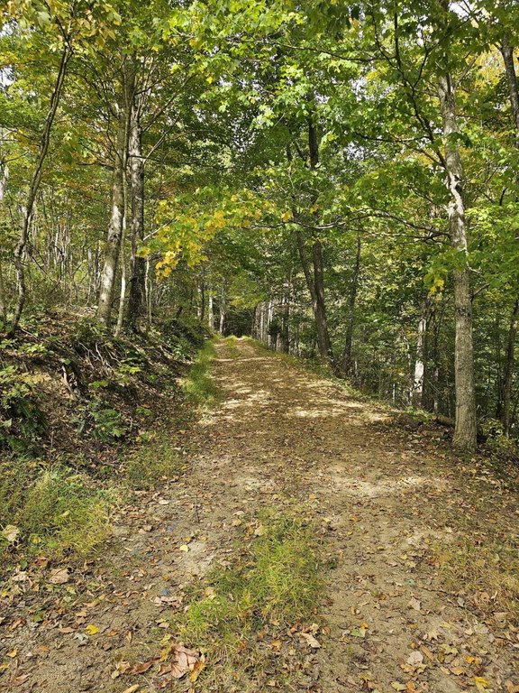 Picture 29