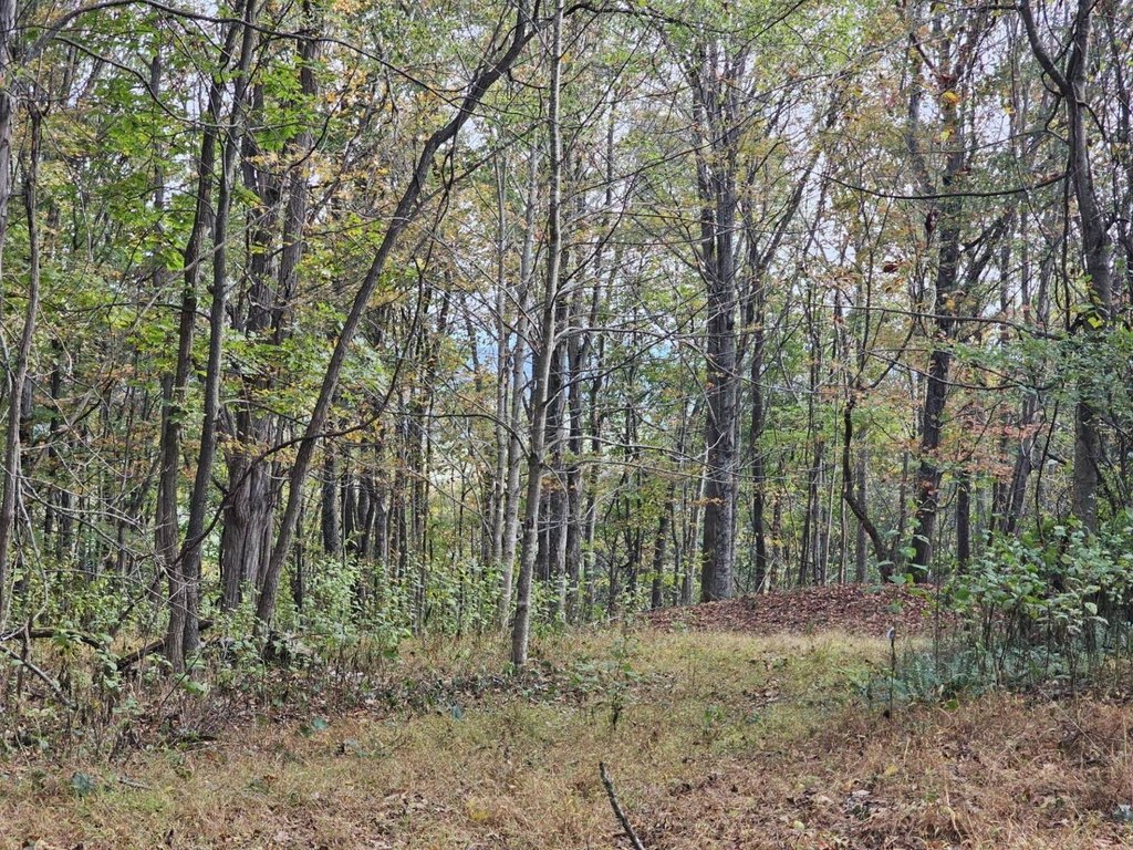 Picture 25