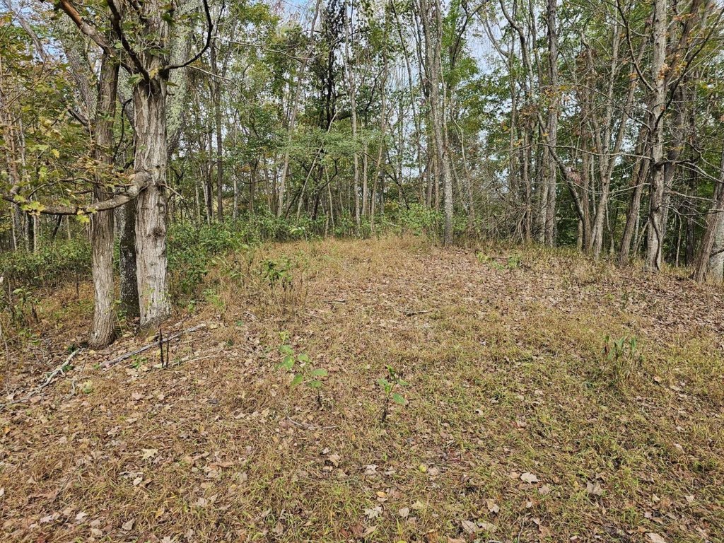 Picture 18