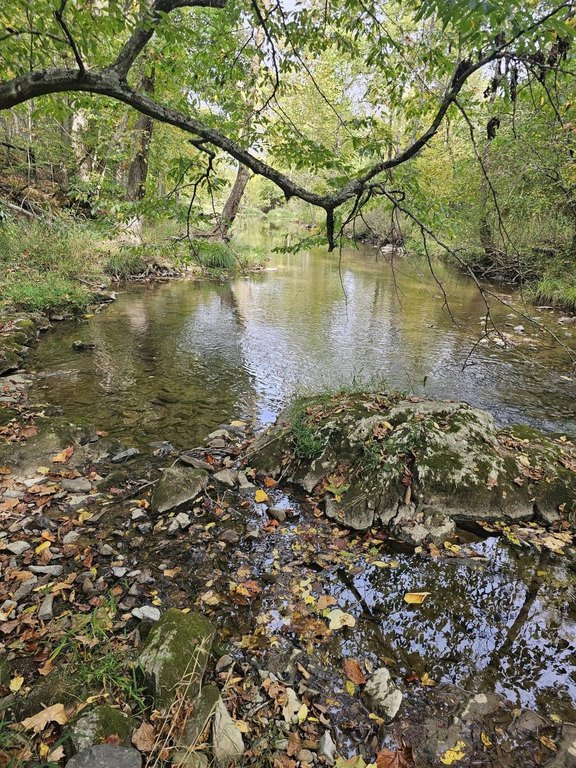 Picture 42