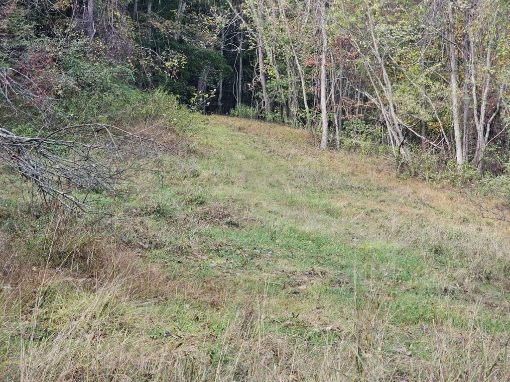 Picture 37