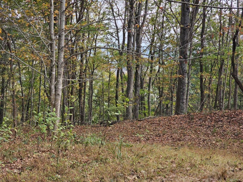 Picture 44