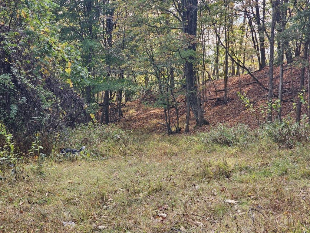 Picture 27
