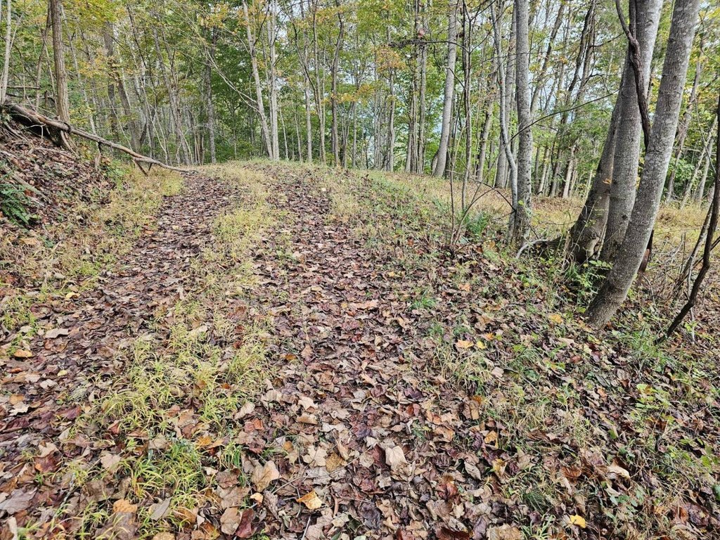 Picture 30