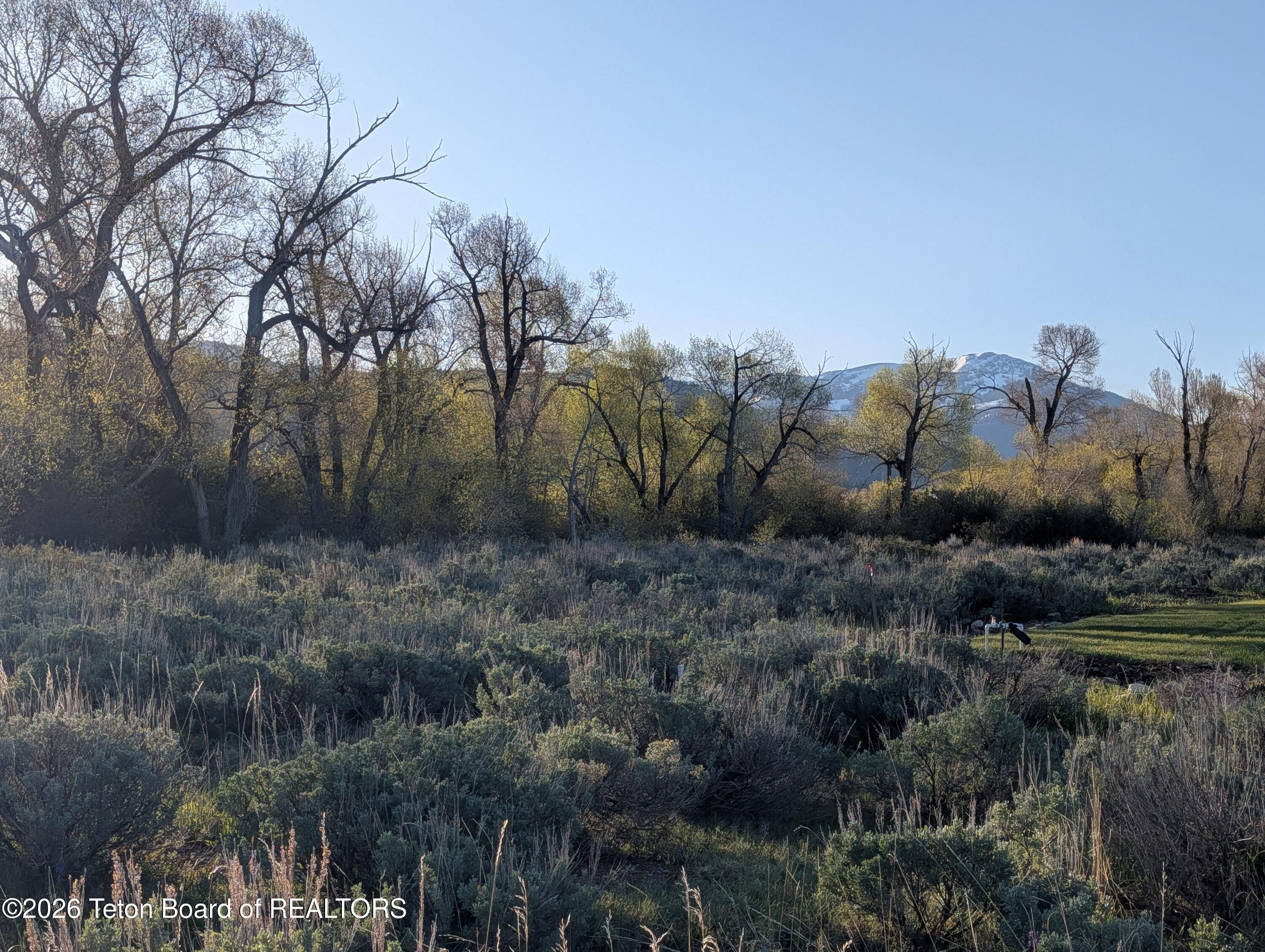 Land in Teton Valley