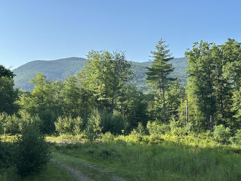 LAND - Tamworth, NH