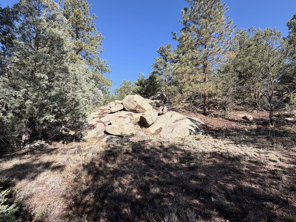 Picture 29