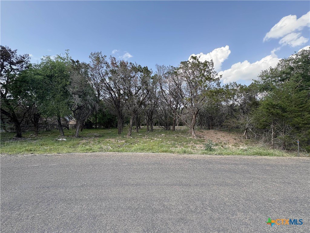 Secluded Lot on Lake Belton