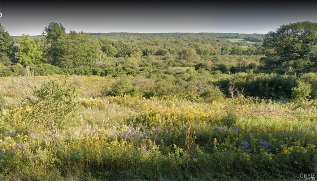 State Rte 226 Hwy, Bradford, NY 14815 - Land for sale - Realmo