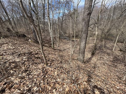 Land in Lawton, Michigan