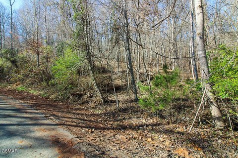 Residential Land in Rock Harbor