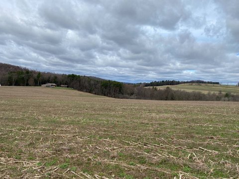 Agricultural Farmland with Coal Rights